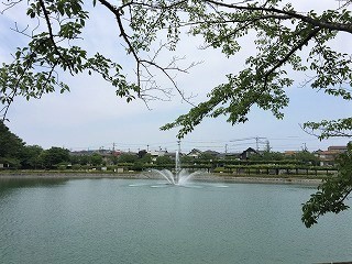城山公園　池　①