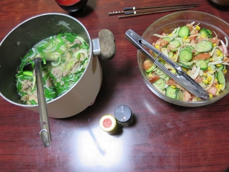 豚肉入りホルモン鍋、ツナと夏野菜のサラダ