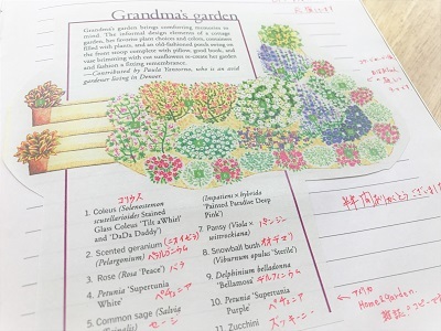 おばあちゃんの庭