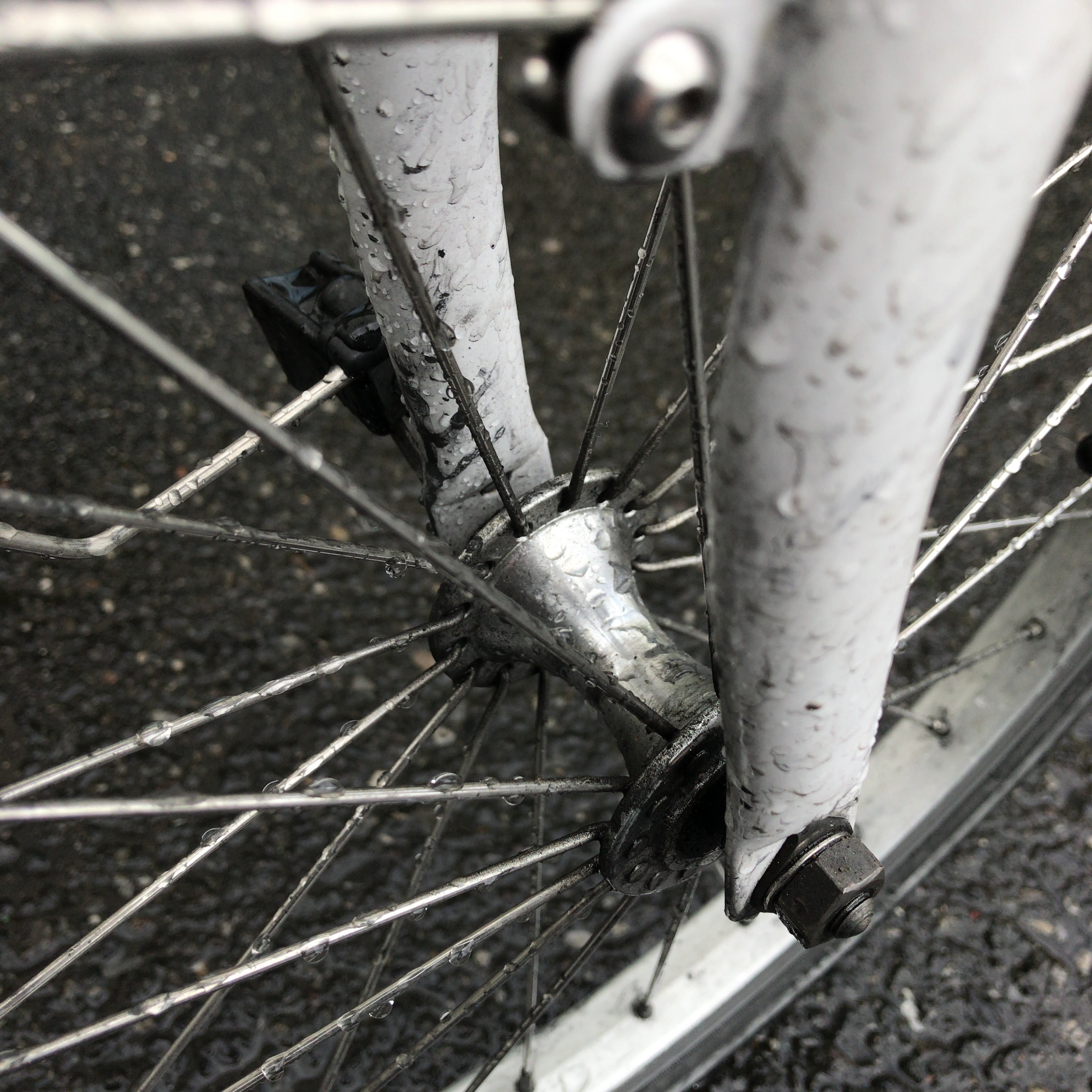 エバーズ 自転車丸洗いクリーナ 取扱い開始しました。 - 自転車の部品は野口商会：NOGUCHI Blog