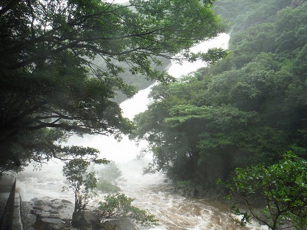 増水の大川の滝