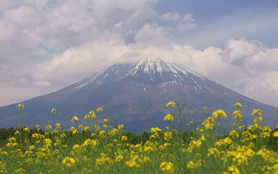 1705111438富士山