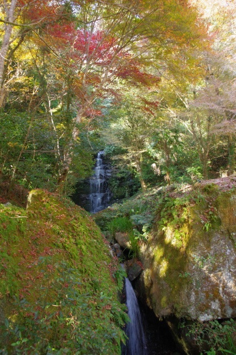 秋の木漏れ日と滝の音色