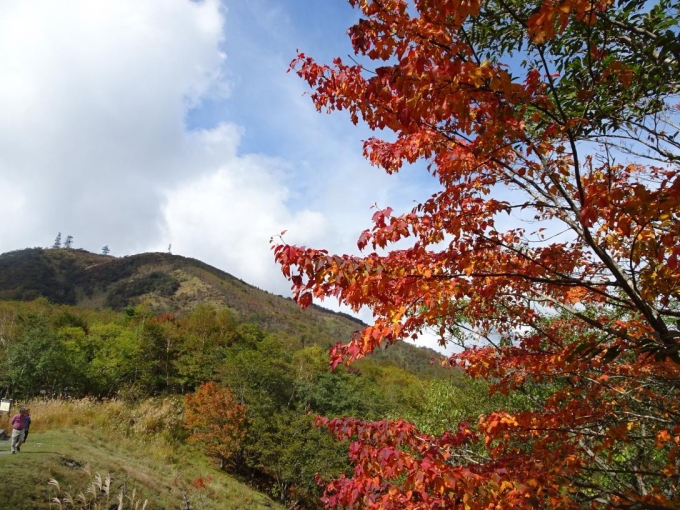 紅葉と地蔵岳