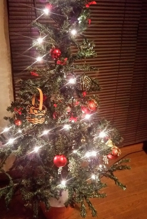 2017クリスマスツリー