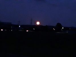 【写真】農園の東の空に光る満月