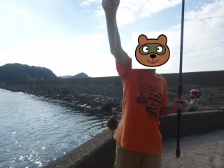 兵庫竹野港魚釣り